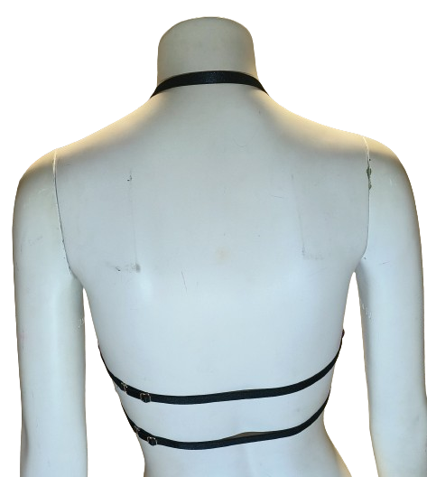 Top Cherry Plum  XS Shark Polewear